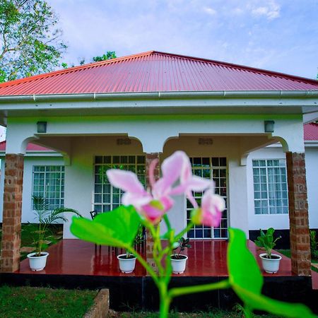 Royal Homestay Moshi Extérieur photo